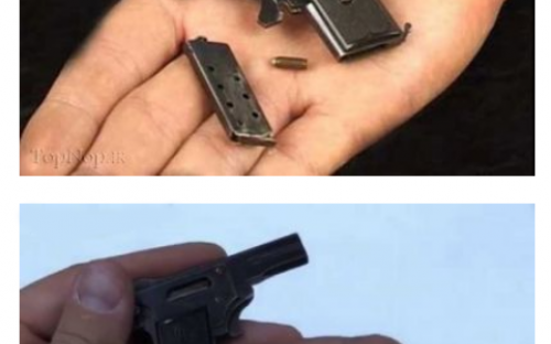 رکورد دار کوچک ترين اسلحه جهان 