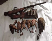  شش نفر شکارچی متخلف در رزن دستگیر شدند