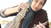 مزرعه کروکودیل