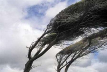 افزایش سرعت وزش باد در دو روز آینده در همدان افزایش می یابد