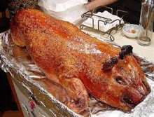 خوردن گوشت خوک موجب بی‌غیرتی می‌شود/خوک 27 بیماری وبایی را به انسان منتقل می‌کند