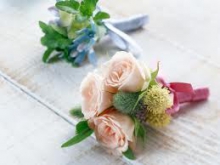 تجلیل از 9خانم معلم در اسدآباد