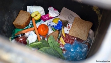یک‌چهارم مواد غذایی جهان روانه سطل زباله می‌شود