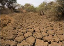 خسارت خشکسالي به بخش کشاورزي استان همدان 