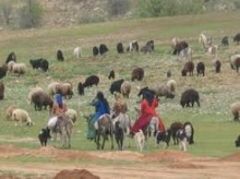 برای رفتن به کوه عوارض بدهید