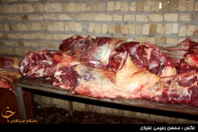 دستگیری چند توزیع ‌کننده گوشت الاغ در مشهد + تصاوير 