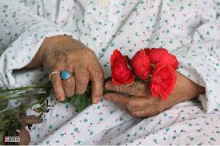 اکرام سالمندان سرای یاس سفیدتوسط هلال احمرهمدان