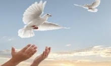 آزادی22زندانی در سه ماهه نخست سال 93در همدان