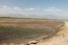 100 هکتار از اراضی روستای وهمان نهاوند به سیستم آبیاری بارانی مجهز شدند