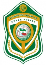 فروشنده اجناس ممنوعه اینترنتی در نهاوند دستگیر شد