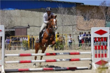پانزدهمین هفته از مسابقات پرش با اسب قهرمانی استان همدان برگزارشد