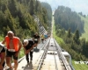 مسابقه بلندترین پله نوردی دنیا 