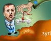 اردوغان: صهیونیستها فریبم دادند