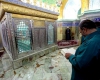 امامزاده های همدان با سبک معماری منحصربه فرد پذیرای گردشگران مذهبی است