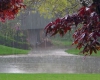 بارش باران در همدان شدیدتر می شود