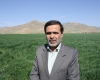 مقابله باسن غلات در ۷۵ هزار هکتار از مزارع استان همدان