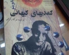 شهری بود که همه اهالی آن دزد بودند...!/طنز