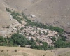 وقف زمینی به مساحت2400 متر در روستای قنداب اسدآباد