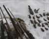  چهار شکارچی متخلف در منطقه حفاظت شده خانگرمز تویسرکان دستگیر شدند