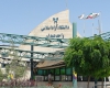 مجتبی بابایی رییس دانشگاه آزاد تویسرکان شد