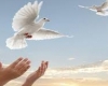 آزادی22زندانی در سه ماهه نخست سال 93در همدان