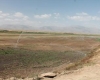 100 هکتار از اراضی روستای وهمان نهاوند به سیستم آبیاری بارانی مجهز شدند