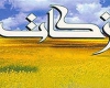  73 میلیارد ریال درآمد زکات استان همدان است 